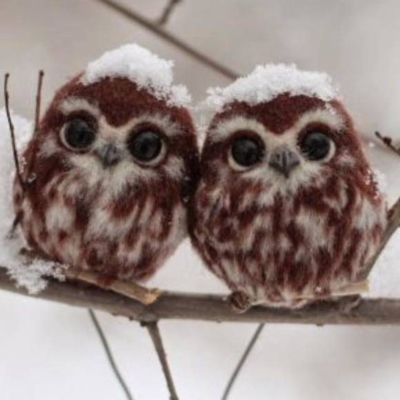 Meet your Posher, Cassandra - Picture 1 of 1